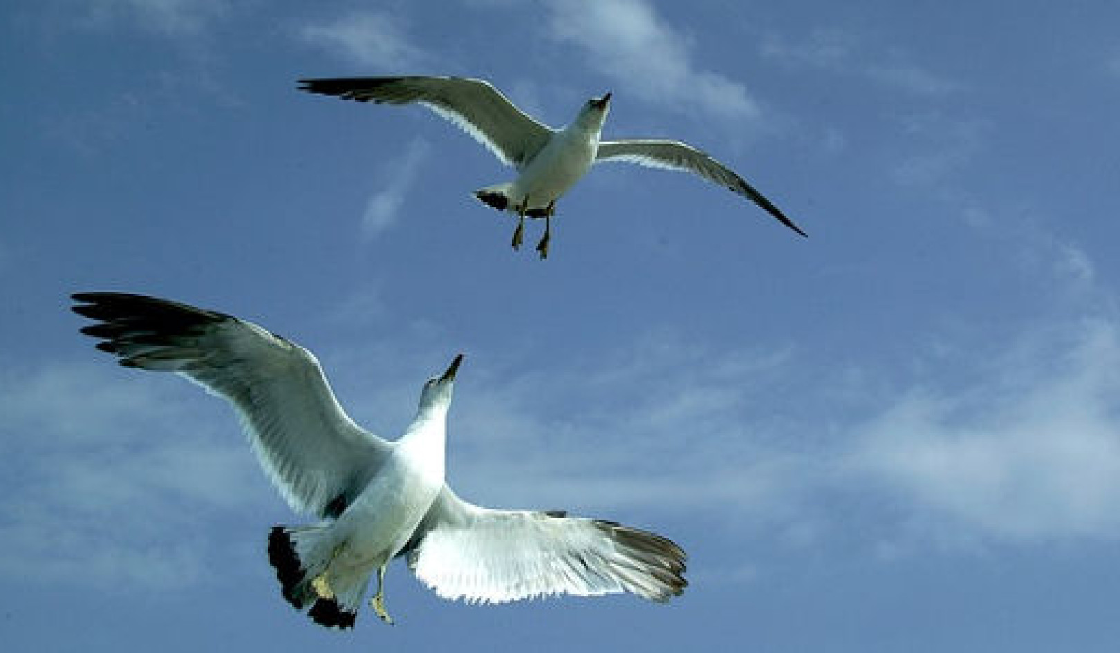 Understanding and Overcoming Soul Tension